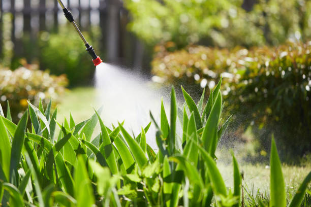 Tamper-Resistant Bait Stations for Rodents in Hackberry