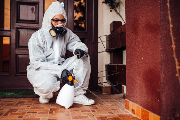 Attic and Crawl Space Rodent Treatment in Hackberry